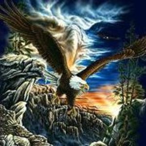 Meet your Posher, Randy